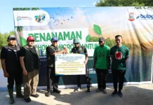 Perkuat Komitmen Sosial dan Lingkungan, BULOG Tanam 4.000 Mangrove