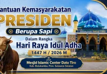 Jumlah Hewan Qurban di Bulukumba Meningkat, Satu Ekor Sapi dari Presiden