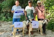 Desa Sejahtera Astra Rammang-Rammang Menerima Dua Hewan dari Astra Syariah