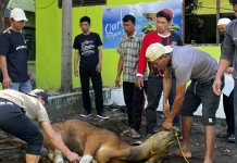 Kurban Menyapa Disabilitas, Gammara Inklusi Hadirkan Kebahagiaan untuk Semua