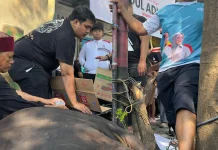 PSI Sulsel Tebar Kepedulian di Hari Raya Kurban