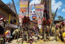 Mangrara Banua, Tradisi Syukuran Rumah Adat Toraja