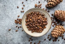 Manfaat Tersembunyi Kacang Pinus Bagi Kesehatan Tubuh