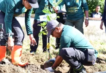 Peringati Hari Lingkungan Hidup Sedunia, Pemkab Bulukumba Gelar Penanaman Pohon