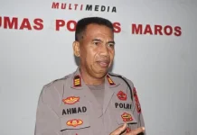 Menjelang Operasi Patuh 2026, Polisi Ingatkan Pengendara Lengkapi SIM dan STNK