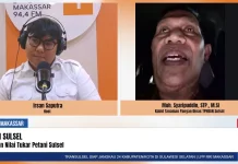 Sulsel Optimistis Capai Target Produksi Beras 3,5 Juta Ton