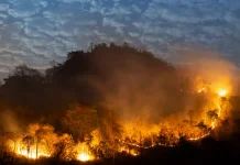 Hadapi Kemarau Ekstrem, Kab. Pinrang Tetapkan Status Siaga