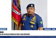 Musim Kemarau Panjang, Damkar Maros Petakan Zona Karhutla