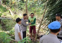 Cegah Peredaran Tuak, Wakapolres Maros Edukasi Penyadap Nira Aren Bontomanurung