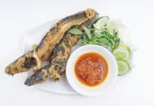Kandungan Nutrisi dan Risiko Polutan Ikan Lele