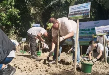 Pelindo Jasa Maritim Tanam 2.500 Pohon di Maros