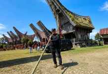 Tombi, Penanda Kehormatan dalam Rambu Solo’ di Tana Toraja