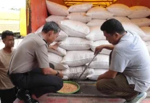 Polda Sulsel Terus Memastikan Harga Jagung Petani Stabil