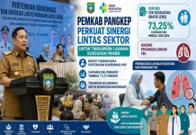 Pangkep Percepat Implementasi Pelayanan Kesehatan Primer Terintegrasi