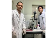 Dosen UMI Teliti Khasiat Daun Pala untuk Atasi Penyakit Reumatik