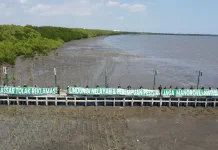 Warga Lantebung Tolak Reklamasi Lewat Penanaman Seribu Mangrove