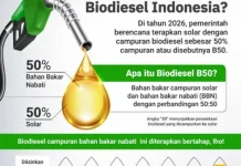 B50 Dukung Ketahanan Energi, Pengamat: Tak Otomatis Atasi Antrean Solar di SPBU