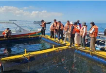 UNHAS Perkuat Kolaborasi Internasional Kelautan Bersama SHOU dan GDOU