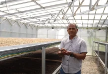 Indikasi Geografis Angkat Nilai Kopi Enrekang