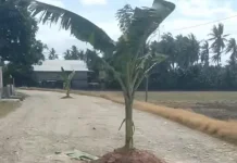 Respon Tuntutan Warga Belawa, Wakil Ketua DPRD Sulsel Janji Perbaiki Jalan