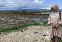 Limbah Cangkang Kepiting di Maros Berpotensi Jadi Pakan Ternak dan Sumber Kalsium