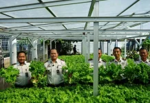 Lapas Makassar Dukung Program Ketahanan Pangan