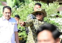 Kodam Hasanuddin Panen Raya di Maros, Dukung Ketahanan Pangan Nasional