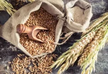 Menjaga Tubuh Tetap Fit, Ini Deretan Makanan Pencegah Gula Darah Rendah