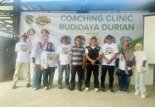 Solusi Jitu Petani Durian, Sarialam Bongkar Rahasia Mencegah Buah Rontok