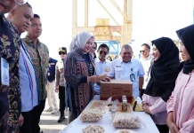 Pemprov Sulsel dan Bank Indonesia Perkuat UMKM Ekspor
