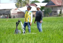Bupati Sidrap Tinjau Irigasi, Pastikan Penanganan Kekeringan Sawah Petani