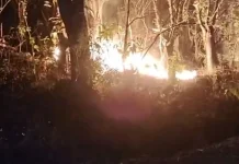 Kebakaran Hutan di Bacukiki, BPBD: Investigasi Penyebab Masih diselidiki