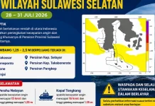 BMKG Ingatkan Dini Gelombang Tinggi di Perairan Selayar pada 28 Juli 2026