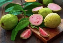 Jambu Biji Kaya Nutrisi, Bermanfaat Menjaga Kesehatan Tubuh