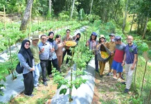 Perkuat Branding Produk Unggulan, Kemenkum Sulsel Produksi Video IG Cabe Katokkon