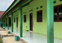 Pemprov Sulsel Usulkan Revitalisasi 400 Sekolah di Tahun 2026