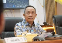 Remunerasi Kepala Daerah dan DBH, Bupati Selayar: Daerah  Butuh Keadilan Fiskal