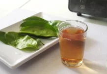 Dasyat Air Rebusan Daun Serikaya untuk kesehatan