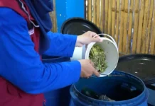 RT di Rappokalling Sukses Pilah Sampah, Jadi Inspirasi Dukung Program Pemkot