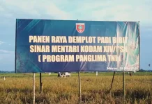 Kodam XIV/Hasanuddin Dukung Produksi dan Serap Gabah Petani