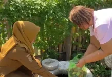 Kelurahan Panaikang Siapkan Fasilitas Lengkap Dukung Pemilahan Sampah