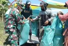 Babinsa Koramil 1409-08/Bontonompo Dampingi Panen Padi, Perkuat Ketahanan Pangan