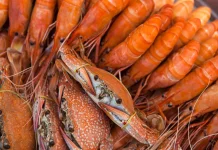 Rahasia Menjaga Mutu Udang dan Kepiting sebelum Dibekukan