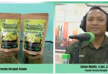 Greenda (Kerupuk Selada): Perkuat Pasar melalui Inovasi Produk dan Kemasan