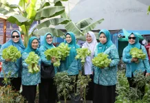 Dorong Ketahanan Pangan Keluarga, TP PKK Makassar Nilai Kebun Aku Hatinya PKK