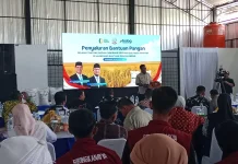 Gubernur Sulsel Dorong KDKMP Salurkan Bantuan Pemerintah