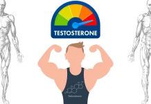 Testosteron, Hormon Pria yang Menentukan Vitalitas dan Kekuatan Tubuh