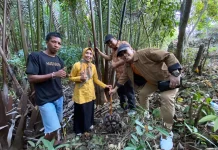 ITB Nobel dan UMMA Olah Nira Nipah Rammang-Rammang Jadi Gula Semut Bernilai Ekonomi