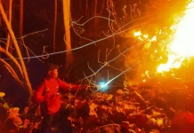 Kemarau Panjang, Pemprov Sulsel Perkuat Pencegahan Karhutla
