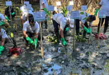 Pesisir Binanga Sangkara Maros Dihijaukan, 70 Ribu Bibit Mangrove Mulai Ditanam